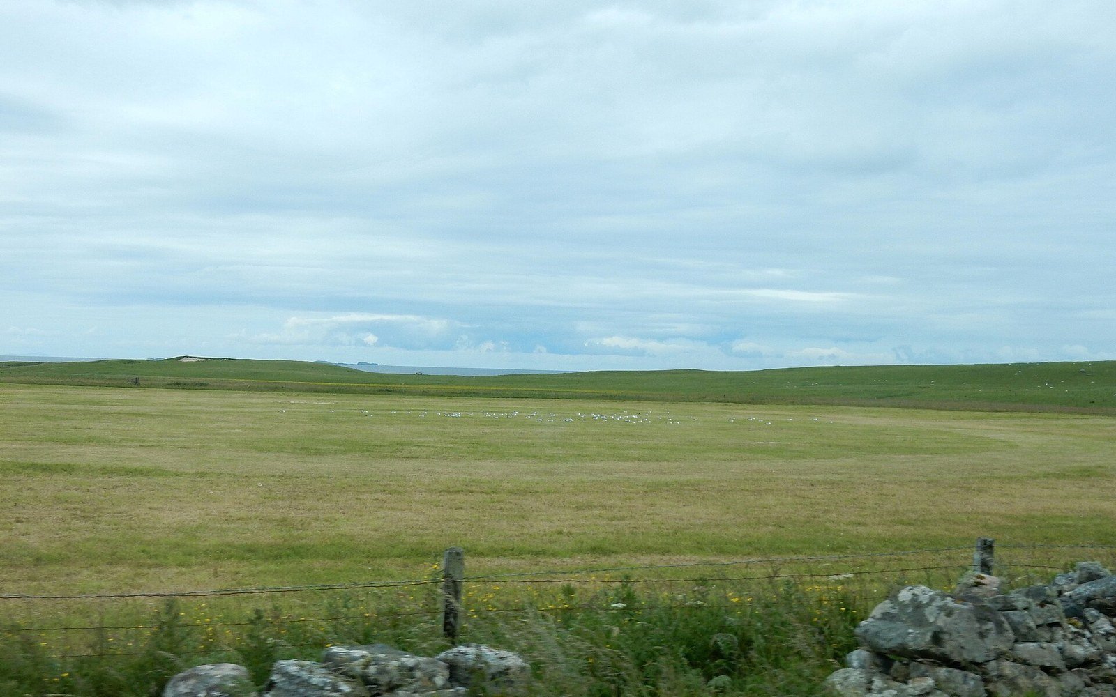A Highland gathering field with implements laid out