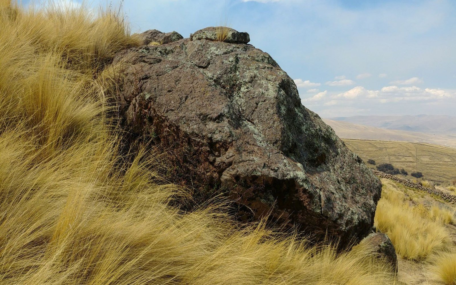 Large lichen-covered boulder surrounded by golden tussock grass on a hillside